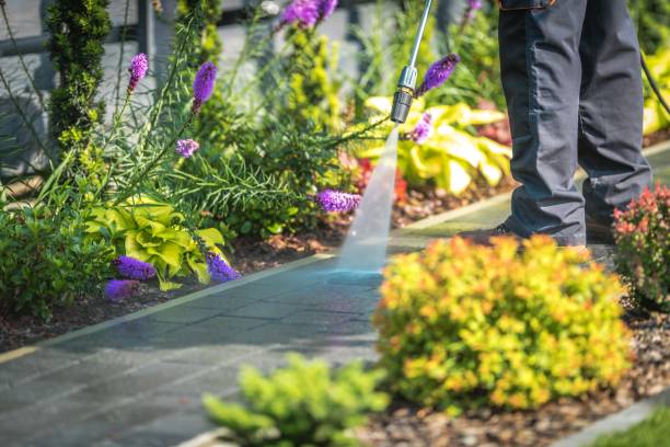 Best Parking Lot and Garage Cleaning  in Athens, PA